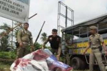  Satpol PP Tertibkan Baliho Mantan Bupati Bengkalis         
