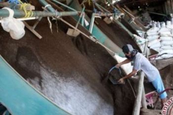   LIPI Patenkan Biourine Kampar