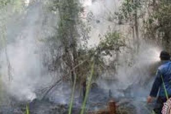 Luas Kebakaran Hutan-Lahan Di Riau 1.957 Hektare