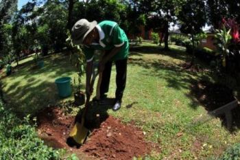 Pemkot  Komitmen Lestarikan 13 Hutan Kota