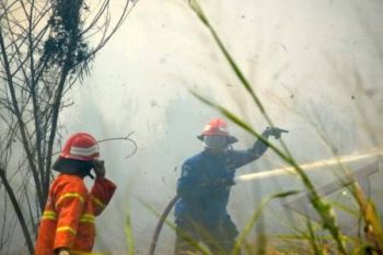 Kebakaran Ilalang Nyaris Membakar Kantor Balai Sungai 
