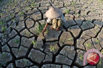 Wilayah Jateng Selatan Alami Kekeringan Ekstrem