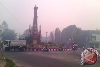 Kotawaringin Timur Tidak Lagi Toleransi Pembakaran Lahan 