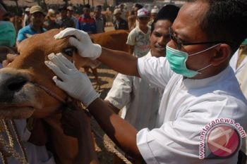 Banyumas Siapkan Tim Pemantau Kesehatan Hewan Kurban