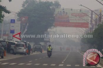 80 Persen Wilayah Kalimantan Tertutup Asap