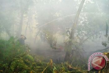 Polri Tetapkan 204 Orang Tersangka Pembakar Lahan