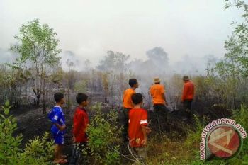 Warga Sebangau Panik Kebakaran Lahan Merembet ke Pemukiman