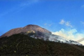 Kebakaran Hutan Gunung Slamet dapat Dikendalikan