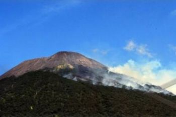Pendakian Slamet Segera Dibuka, Perhutani Bilang Jangan