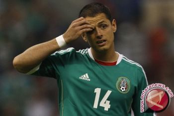 Leverkusen: Chicharito Pemain Sepak Bola Hebat