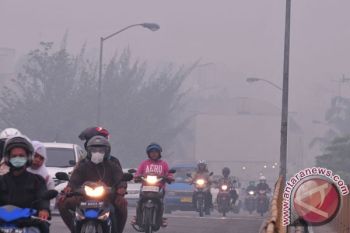 Asap Tebal Akibat Pembakaran Hutan di Riau Cemari Udara Singapura