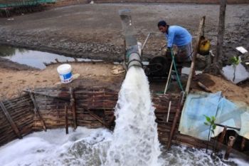 Hindari Sengketa Lahan, Petambak Udang Diminta Urus Izin Lahan