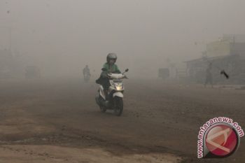 Kotawaringin Timur Perpanjang Masa Tanggap Darurat Asap 