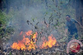 Kebakaran Melanda Hutan Jati di Banyumas 