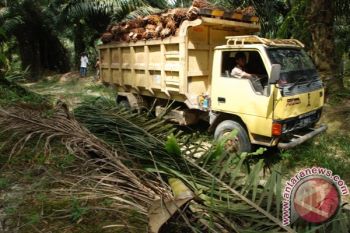 DPRD Tunggu Keseriusan Evaluasi Perizinan Kebun Dan Tambang