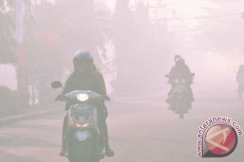 BMKG: Titik Panas di Kota Waringin Timur Capai 216 Titik, Asap Makin Parah