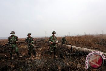 Ribuan Prajurit Dikerahkan Cegah Terjadinya Kembali Kebakaran Hutan di Riau