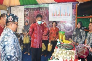 80 Stand Meriahkan Barsel Expo 2015 