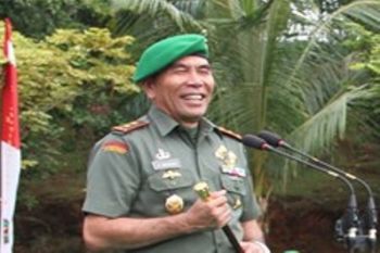 Pangdam: TNI kerjakan pembangunan jalan trans-Papua yang tersulit