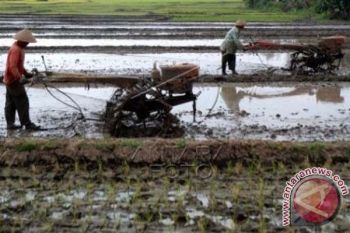 Bupati Majene salurkan bantuan alsintan kepada petani