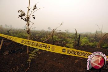 15 Perusahaan Perkebunan Diperiksa Polda Jambi