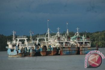 DKP Papua: moratorium kapal ikan untungkan nelayan lokal