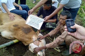 Hadapi Idul Adha, Magelang Melatih Puluhan Juru Sembelih