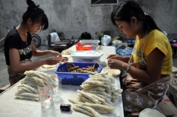 Kurangi Kemiskinan, Jateng Kembangkan UMKM &amp; Koperasi