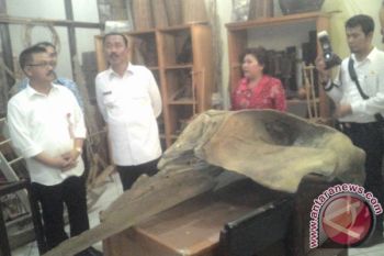 Disbudpar Mulai Berani Targetkan Museum Balanga Sumbang PAD