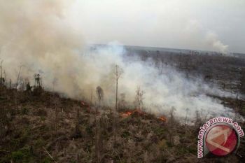 Presiden Jokowi akan Bahas Penanggulangan Bencana Kebakaran Lahan di Riau
