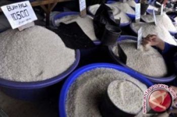Harga Beras di Purwokerto Bertahan Tinggi