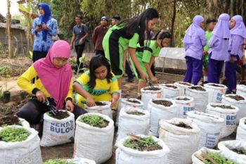 Pertamina Dorong Program Sistem Tanaman Tabungan Sekolah