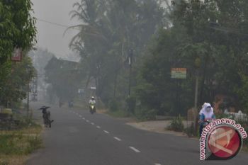 10 Kecamatan di Agam Rawan Kabut Asap