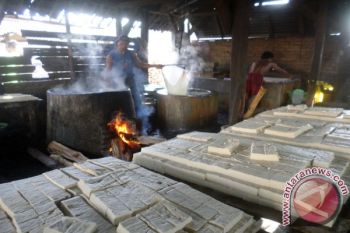Harga Kedelai Naik