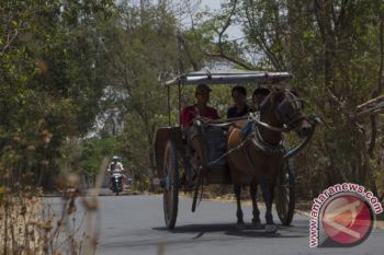 Transportasi Konvensional Madura