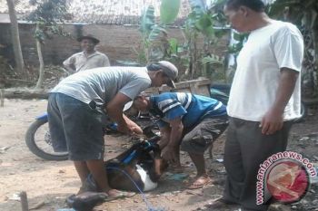 Pedagang Hewan Kurban Lampung Timur Sepi Pembeli 