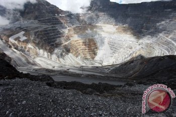 Pakar: tambang bawah tanah Freeport berisiko tinggi