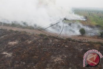 Legislator: Hutan Kotawaringin Timur Terancam Punah 