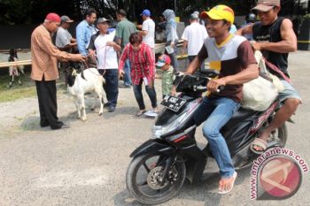 HEWAN KURBAN PELINDO