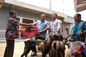 Telkomsel serahkan hewan kurban ke pengurus masjid