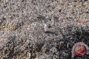 12 Haji Indonesia Wafat di Arafah
