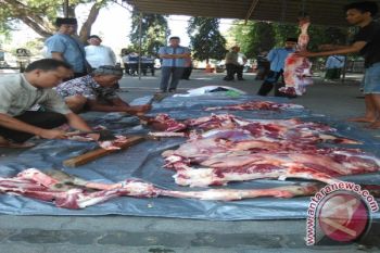 Pembangian Daging Kurban Mataram Difokuskan Di Kecamatan - 