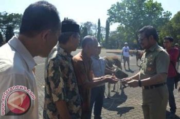 Pemerintah provinsi-kota sumbangkan 175 sapi kurban 