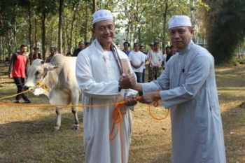 Penyerahan Hewan Kurban