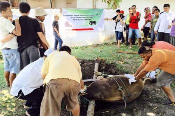Pertamina Maluku-Papua berbagi daging kurban dengan masyarakat