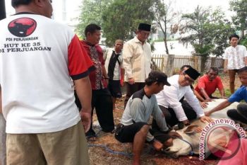 PDIP bagikan 700 kupon  daging kurban 
