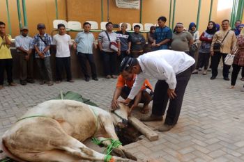 Keluarga Umitra-Sekolah Global Surya Bandarlampung Berkurban