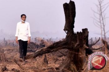 Presiden Rapat Di Tengah Hutan Terbakar