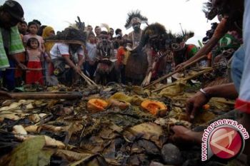 Muslim Wamena gelar acara bakar batu