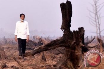 Walhi Sumsel: Kualitas Udara Semakin Buruk Akibat Kabut Asap